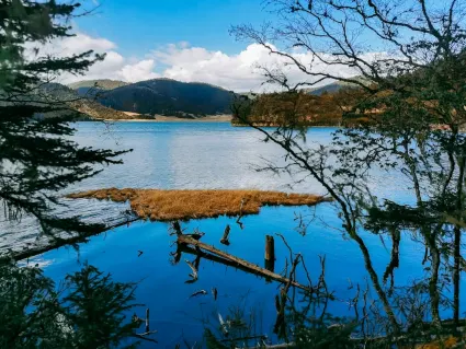 77spins Kasino Mobilní aplikace